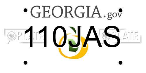 110JAS Georgia License Plate