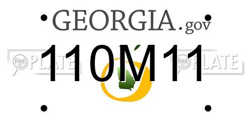 110M11 Georgia License Plate