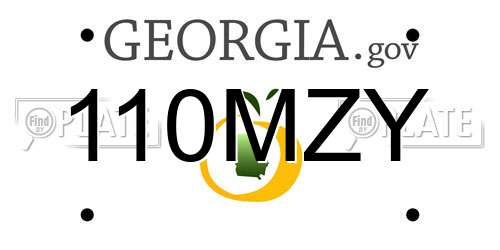 110MZY Georgia License Plate