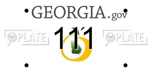 111 Georgia License Plate