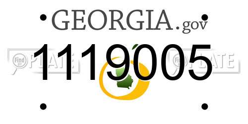 1119005 Georgia License Plate