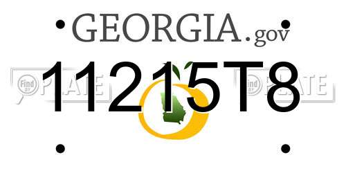 11215T8 Georgia License Plate