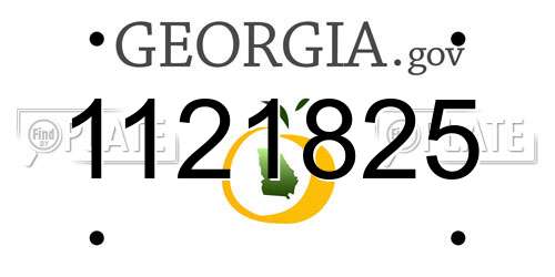 1121825 Georgia License Plate