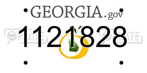1121828 Georgia License Plate
