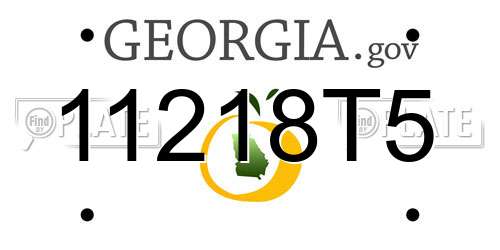 11218T5 Georgia License Plate