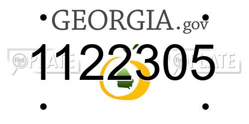 1122305 Georgia License Plate