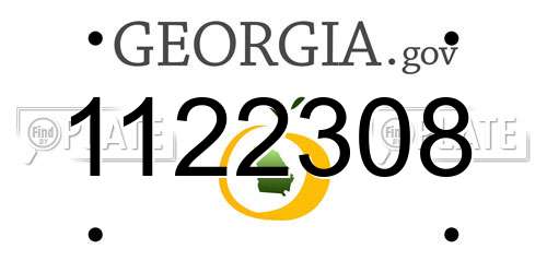 1122308 Georgia License Plate