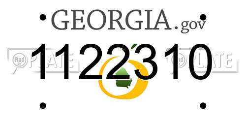 1122310 Georgia License Plate