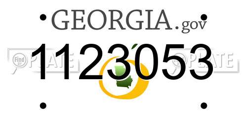 1123053 Georgia License Plate