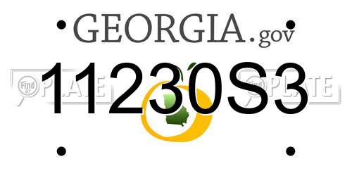 11230S3 Georgia License Plate