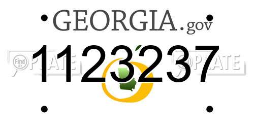 1123237 Georgia License Plate