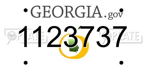 1123737 Georgia License Plate
