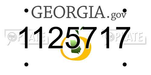 1125717 Georgia License Plate
