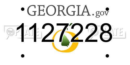 1127228 Georgia License Plate