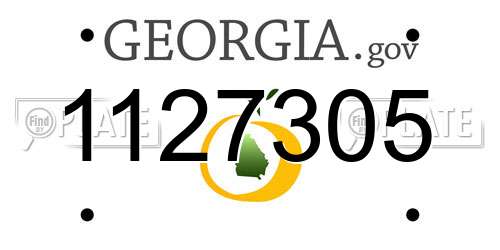 1127305 Georgia License Plate