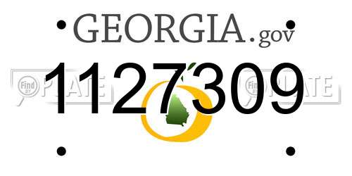 1127309 Georgia License Plate