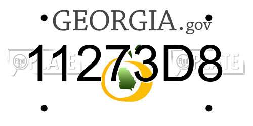 11273D8 Georgia License Plate