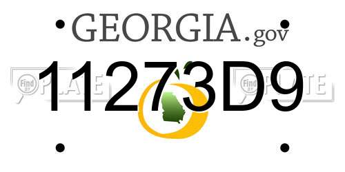 11273D9 Georgia License Plate
