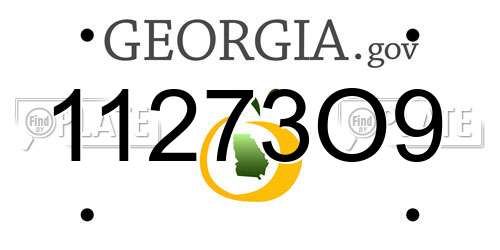11273O9 Georgia License Plate