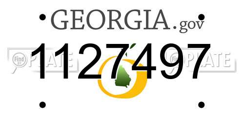 1127497 Georgia License Plate