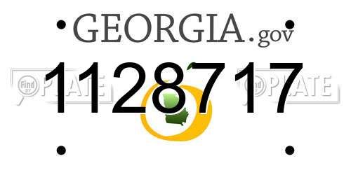 1128717 Georgia License Plate