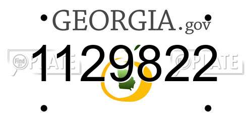 1129822 Georgia License Plate