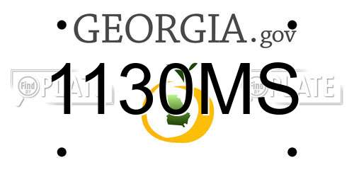 1130MS Georgia License Plate