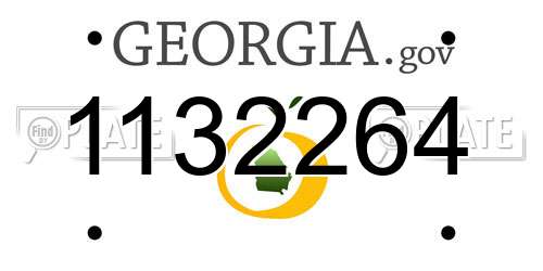 1132264 Georgia License Plate