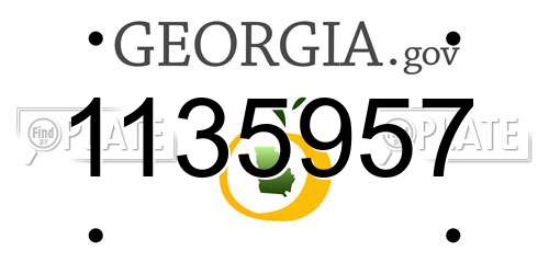 1135957 Georgia License Plate