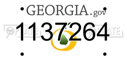 1137264 Georgia License Plate
