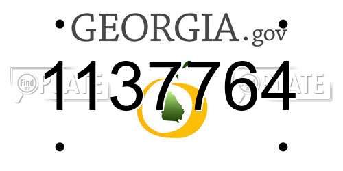 1137764 Georgia License Plate
