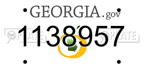 1138957 Georgia License Plate
