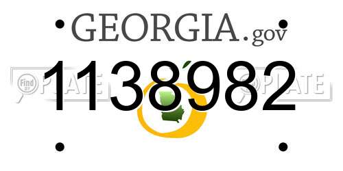 1138982 Georgia License Plate