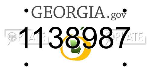 1138987 Georgia License Plate