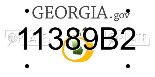 11389B2 Georgia License Plate