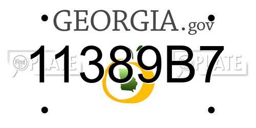 11389B7 Georgia License Plate