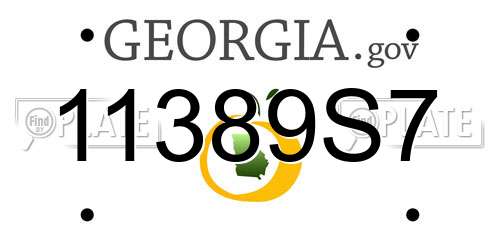 11389S7 Georgia License Plate
