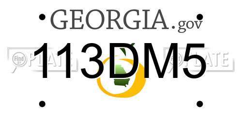 113DM5 Georgia License Plate