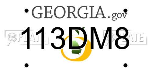 113DM8 Georgia License Plate