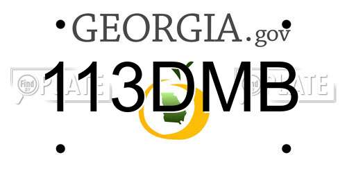 113DMB Georgia License Plate