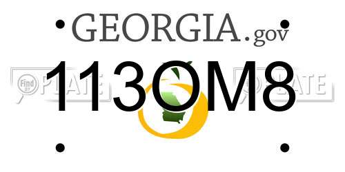 113OM8 Georgia License Plate