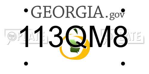 113QM8 Georgia License Plate