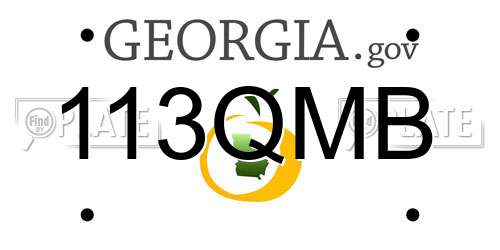 113QMB Georgia License Plate