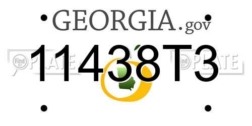 11438T3 Georgia License Plate