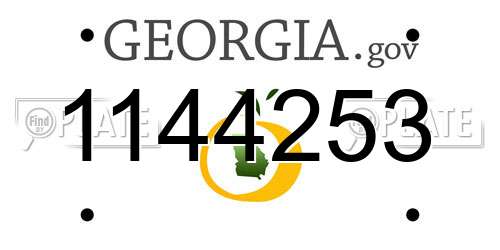 1144253 Georgia License Plate