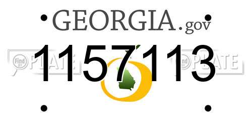 1157113 Georgia License Plate