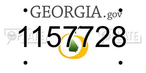 1157728 Georgia License Plate