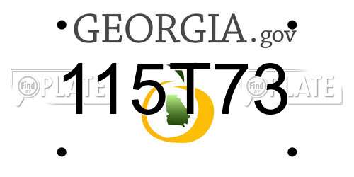 115T73 Georgia License Plate