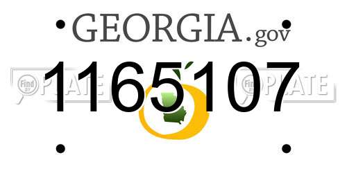 1165107 Georgia License Plate