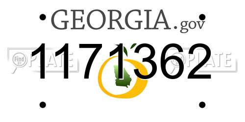 1171362 Georgia License Plate